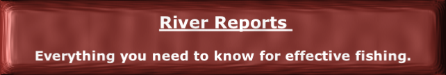 River Reports 

Everything you need to know for effective fishing.