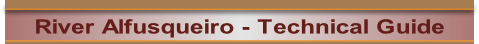 River Alfusqueiro fishing guide trout