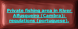 
Private fishing area in River Alfusqueiro (Cambra): regulations (portuguese).