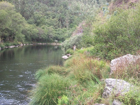 A pesca no Rio Paiva A pesca no Rio Paiva De volta ao Paiva ... sem trutas!