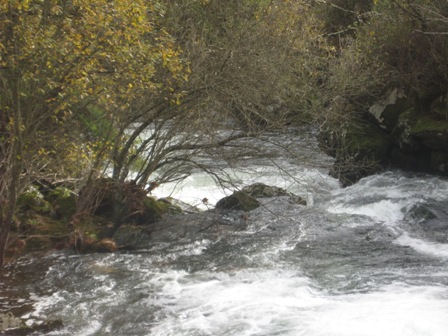 Rio Alfusqueiro em Dezembro de 2010. Alfusqueiro condiçoes Dez 2010 Rio Alfusqueiro em Dezembro de 2010.