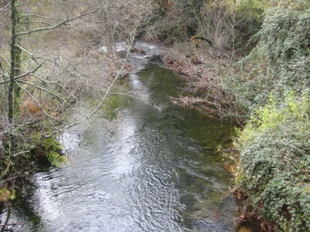 Rio Alfusqueiro em Dezembro de 2010. Condiçoes no Rio Alfusqueiro Dez 2010 Rio Alfusqueiro em Dezembro de 2010.