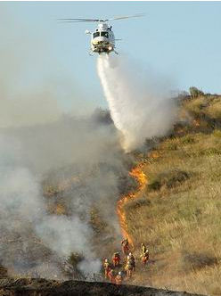 Incêndios trutas Incêndios trutas Os incêndios e as trutas.