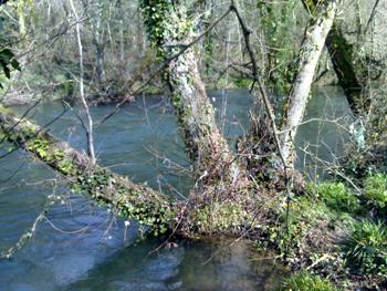 Rio Coura Vilar de Mouros Condições no Rio Coura – 4/3/10.
