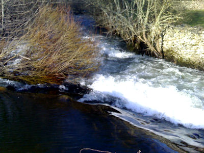 Rio Côa Jusante do Sabugal Novidades e pescaria no rio Côa.