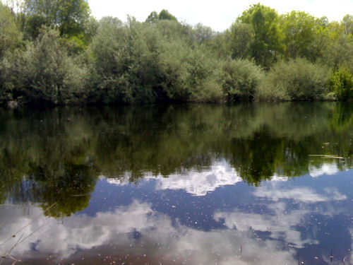 Rio Côa boga Rio Côa boga Bogas à colher no Rio Côa!