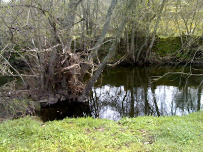 Rio Côa local de captura truta de 39 cm Rio Côa local de captura truta de 39 cm Trutas de Páscoa no Rio Côa.