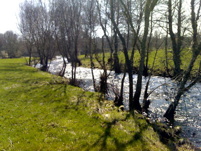 Rio Côa montante Quadrazais Rio Côa montante Quadrazais Parque de pesca à truta Rendufe