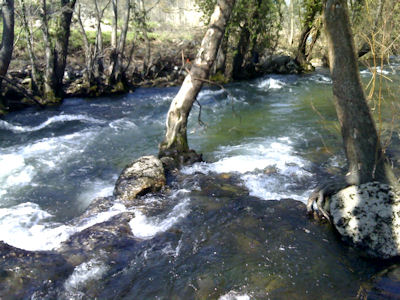 Rio Mondego Março Rio Mondego Março Pescaria e novidades do rio Mondego.