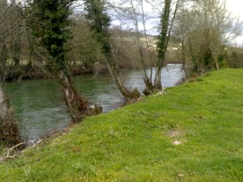 Rio Vez caudal Rio Vez – 6 de Março de 2010.