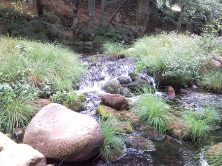Trovoada no Rio Mondego Trovoada no Rio Mondego Trutas Dias de Trovoada em Agosto