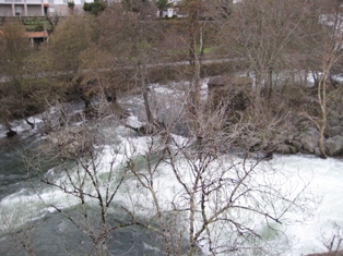 Vouga4 Vouga4 Rio Vouga no dia 23 de Janeiro.