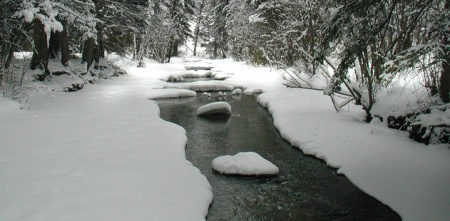 rios neve desova trutas rios neve desova trutas Boas condições para a desova!