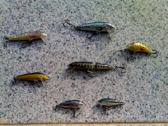 rapala pesca truta
