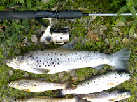 Truta de Kg - abertura 2008 em Touvedo