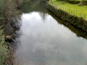 Trutas - Rio Estorãos