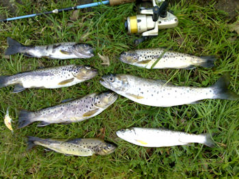 Rios Coura e Lima com Salmo