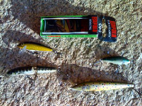 Rapala para a pesca da truta