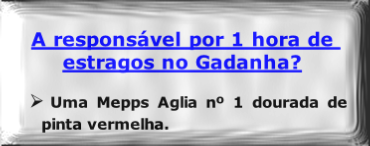 A responsável por 1 hora de estragos no Gadanha?

Uma Mepps Aglia nº 1 dourada de pinta vermelha.


