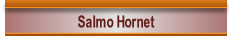Salmo hornet